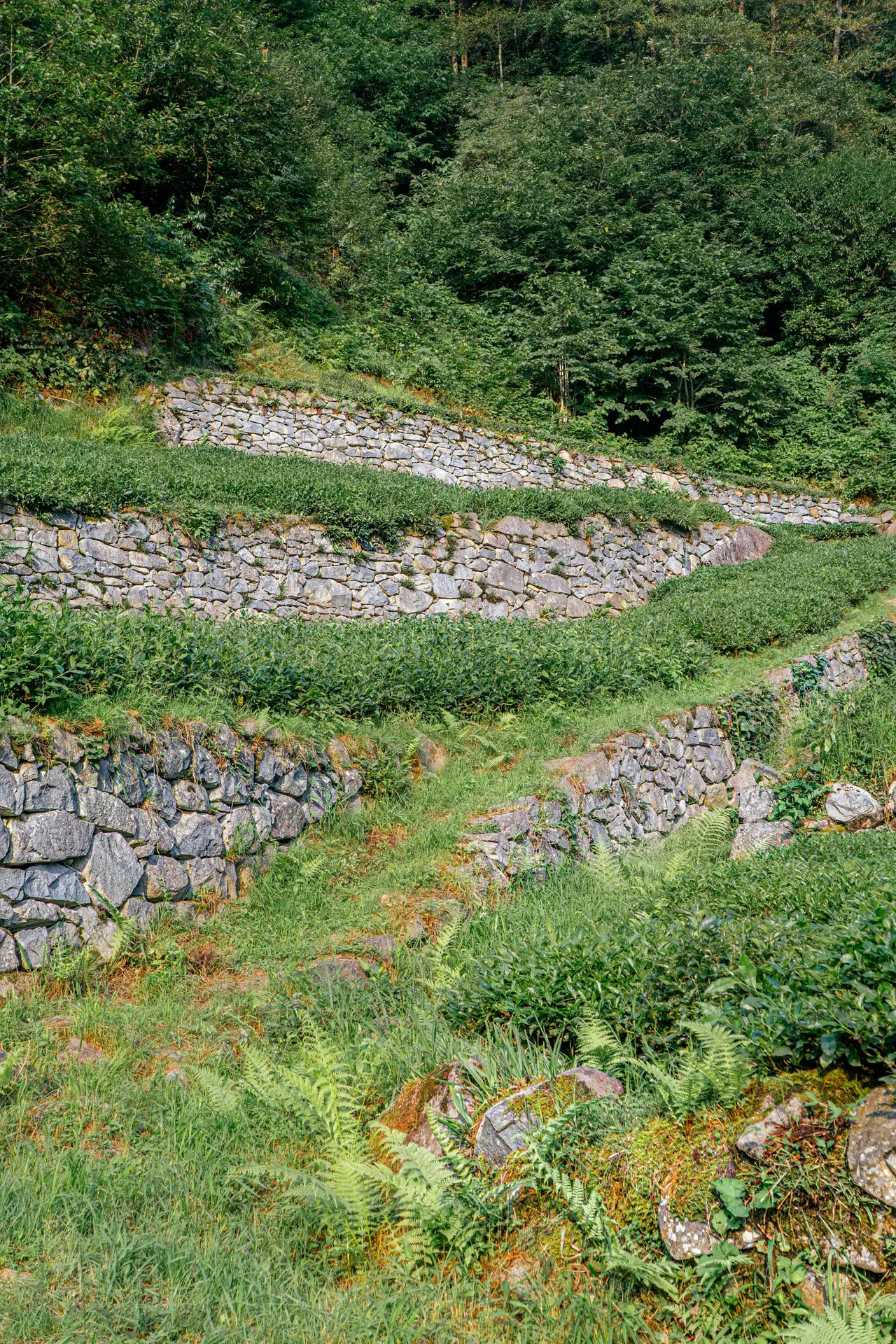 Mur de soutènement